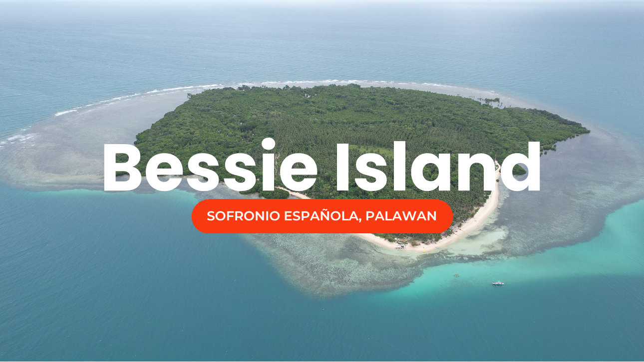 High Potential Island for sale in Palawan