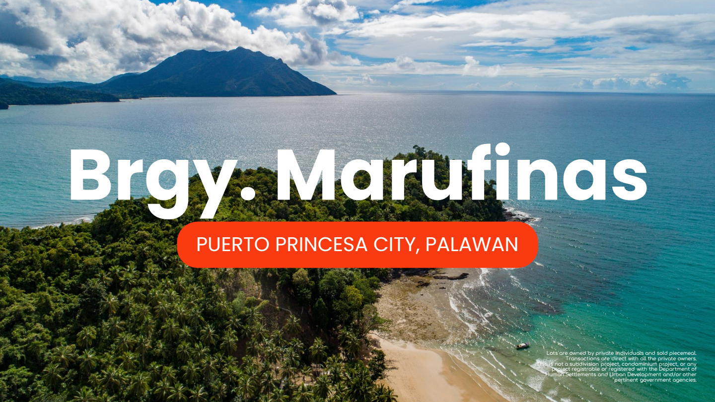 Beach Lot for sale in Puerto Princesa City Palawan